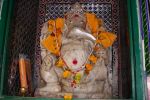 08 Udaipur  Samui (84)
